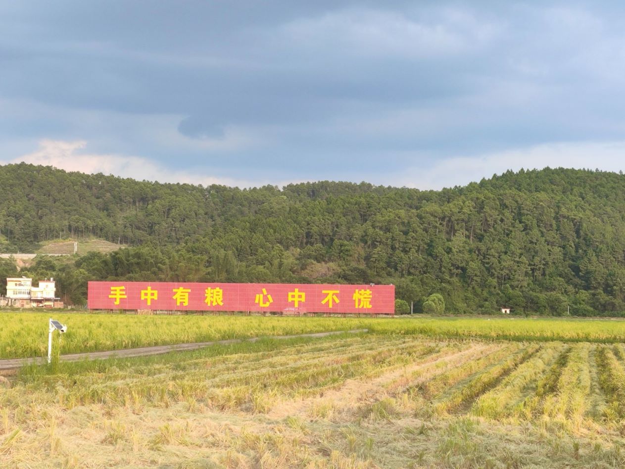 �ǻ��r�I�r�����Ƽ��x�r��δ��