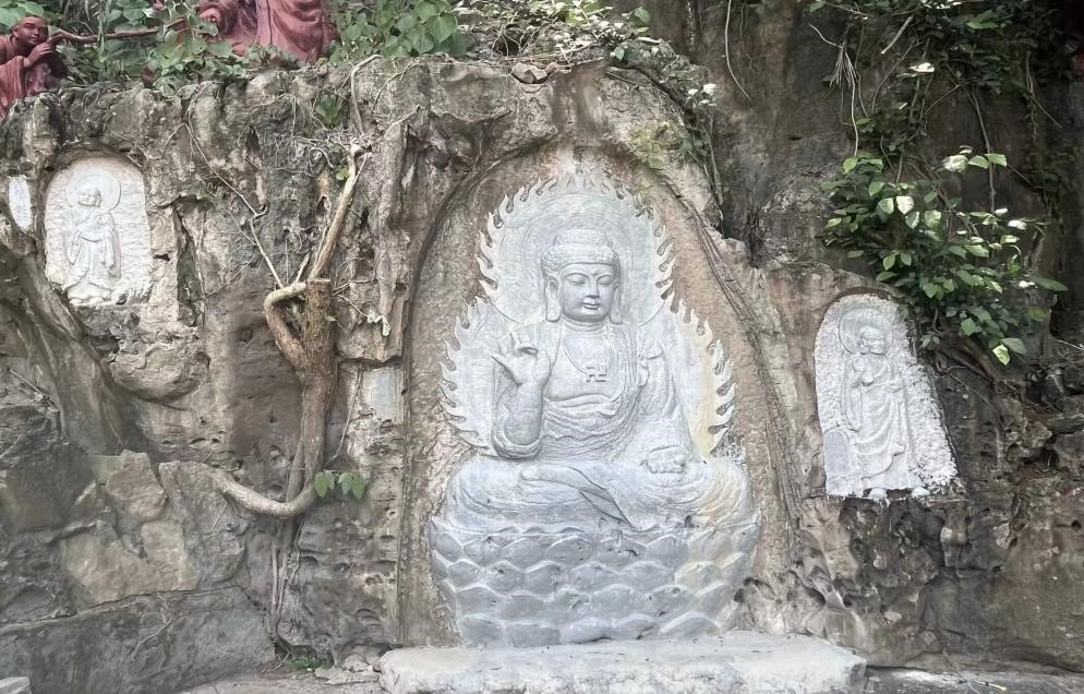 ����й�퍣��N������ƪ