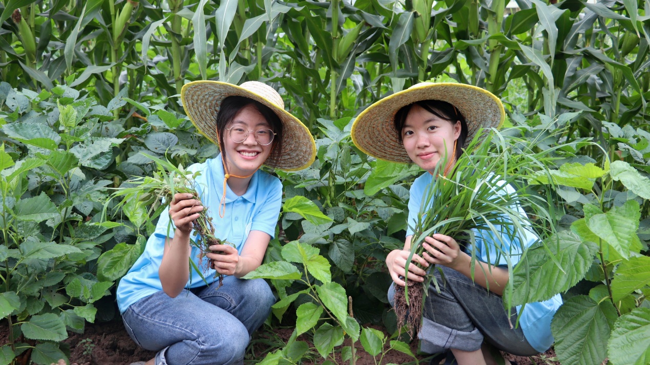 �ഺ�x���Q�񣬌��`�������d �����ؑc������W�����c����WԺ�����㽛Ը���l�����d־Ը���ՈF����