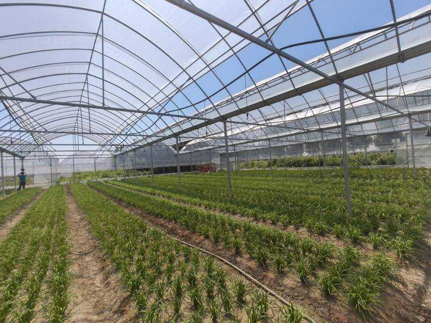 �������Z�c���d��