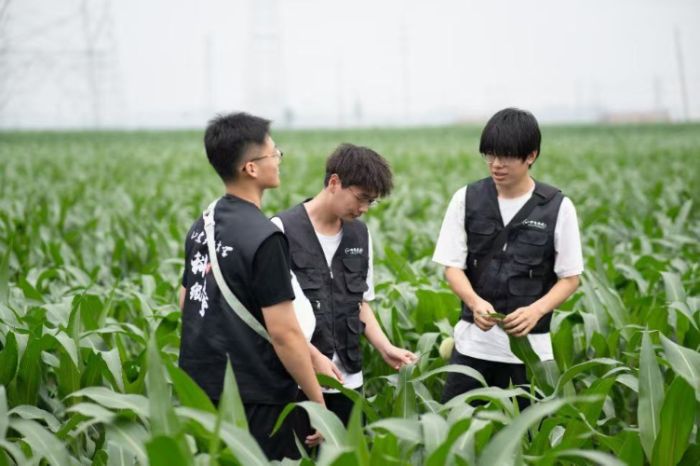 �Ƽ����S���`�F��ݷ�hʢ�ʹ��_չ���B�O�y�����b�l�����B����