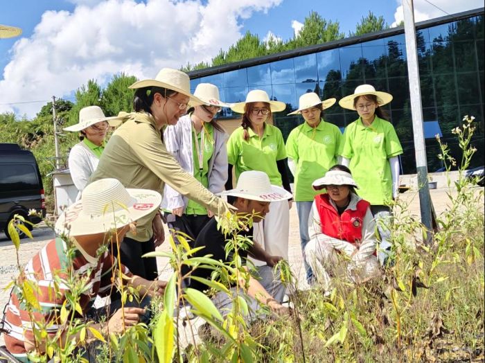 �ژI(y��)���g���W�x�����`���е����¡���ɽ�n�ӿƼ�СԺ���`����ϡ������l(xi��ng)���o��