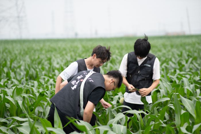 �Ƽ����S���`�F��_չ���r����Nֲ��r�ͻ��A�Oʩ�ğo�˙C�D��ɼ�����