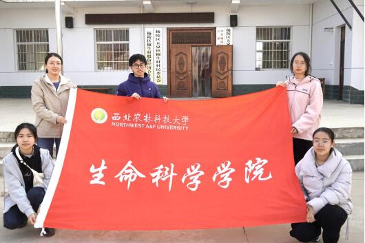 �����𳱣������Ļ����O