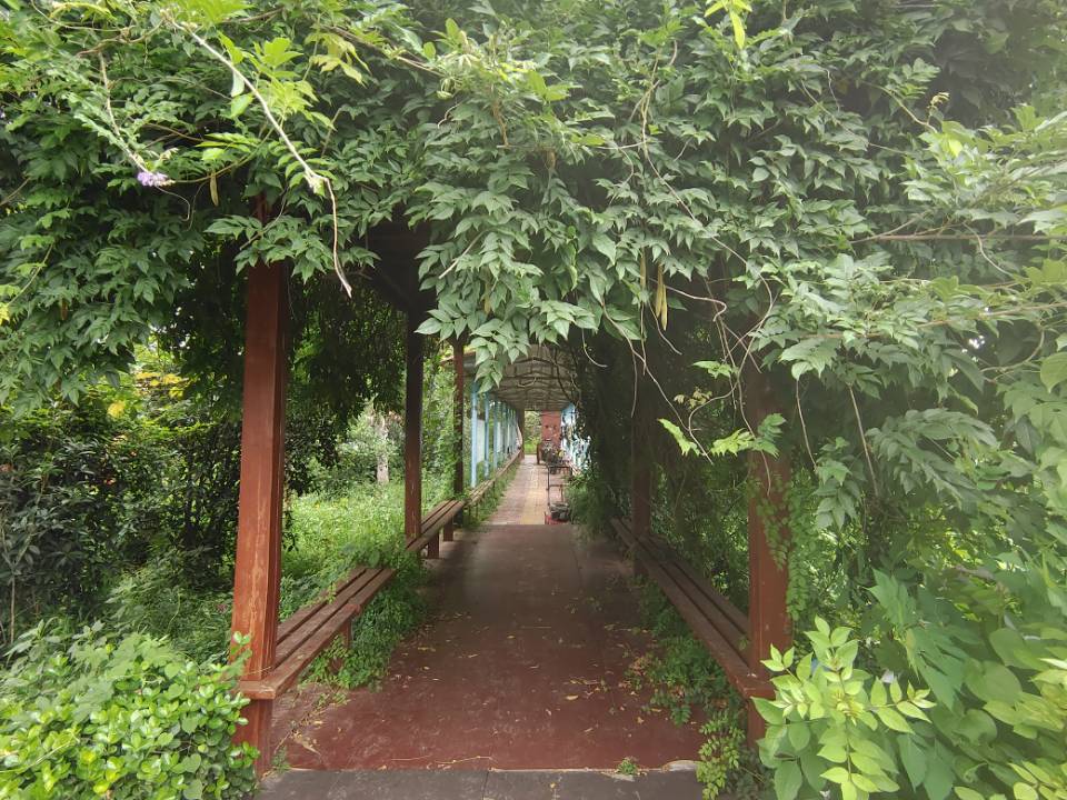 "�ഺ�ķ�I�������ͬ�W����֧�̉����cȼĸУ�|�����ތWУ�W����"