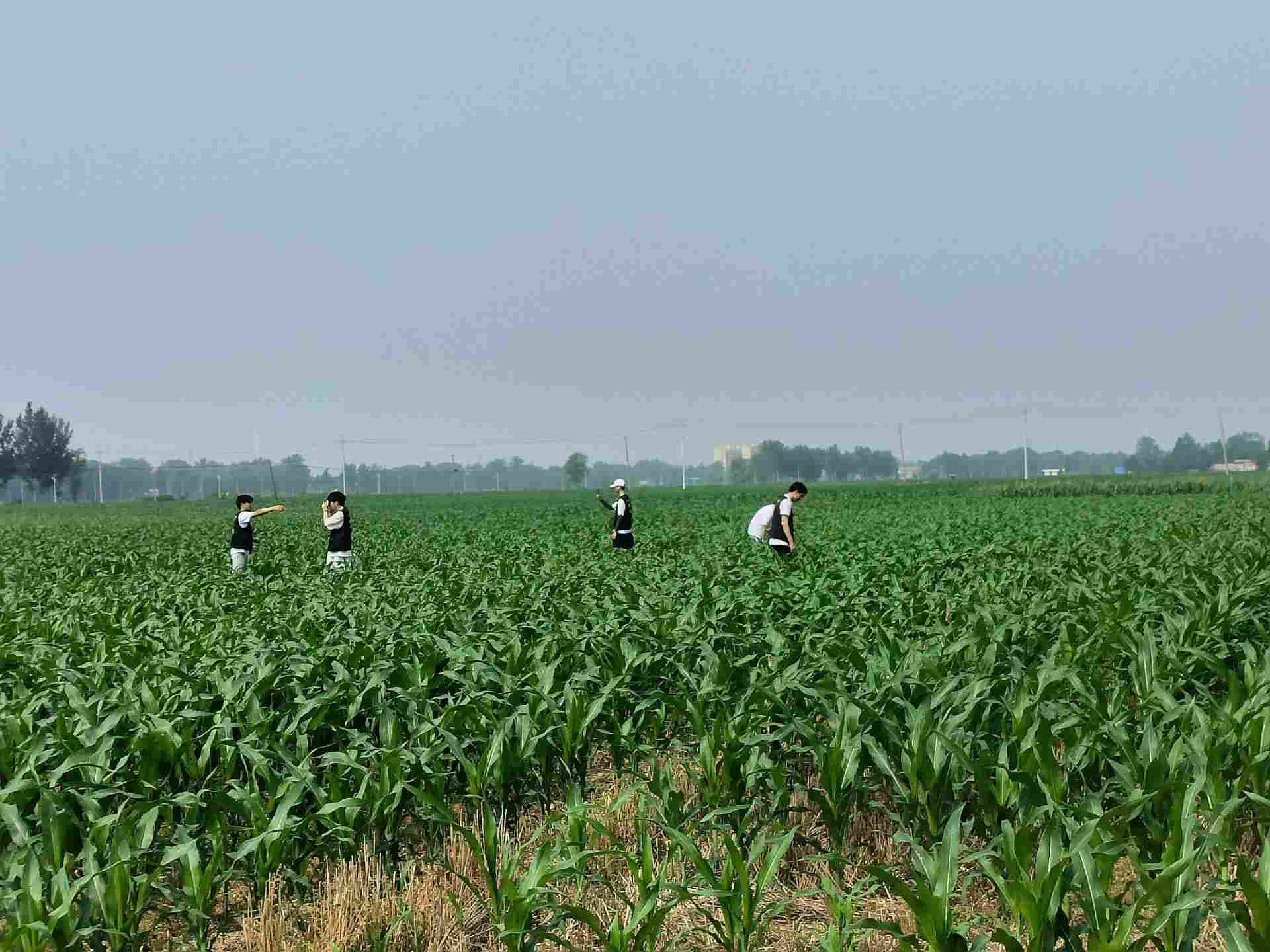 ���w�Ƽ����`�F����һ�´��_չ����Ѳ�z�{��