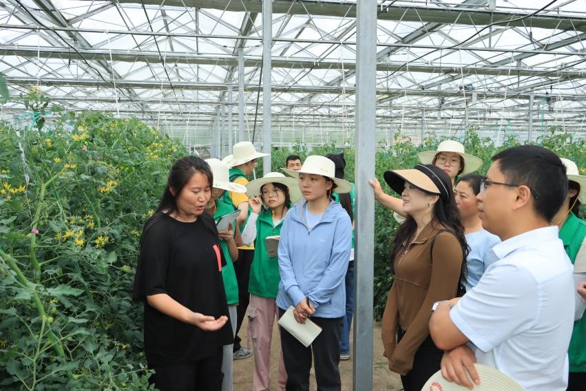 ���˷����B��·�������a�I�L��D