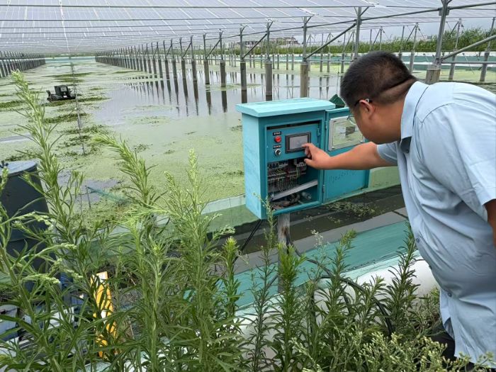 �Ͼ��֘I(y��)��WEco-eight���B(t��i)С����L���d��I(y��)̽������a�I(y��)�l(f��)չ