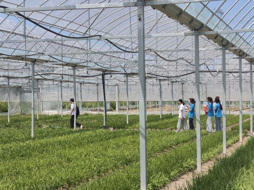 �����WԺ�{�ЈF����ͬ��� ̽���ǻ��r�I��·��