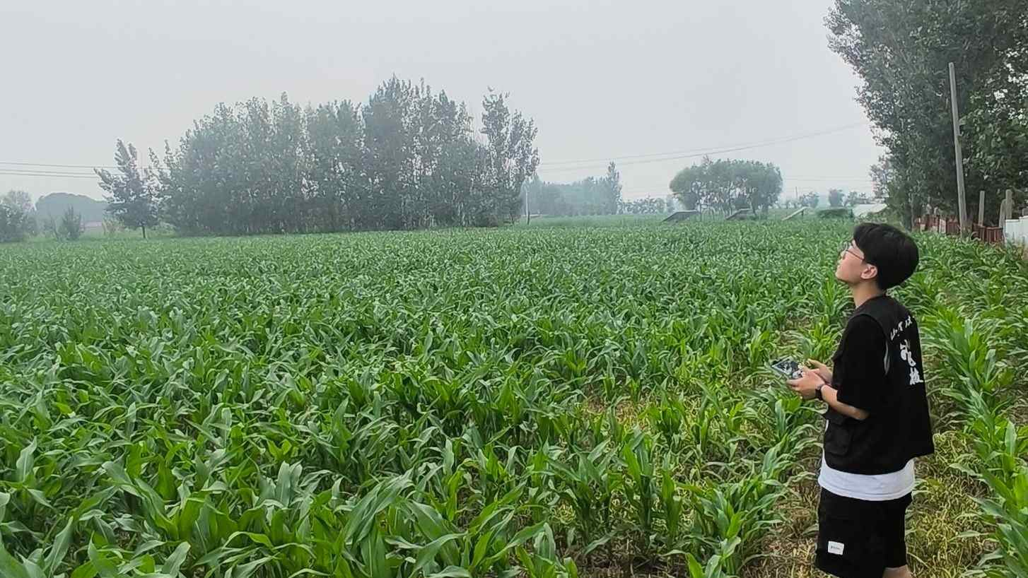 ���w�Ƽ����`�F���ĺ��´��_չ����Ѳ�z�{��