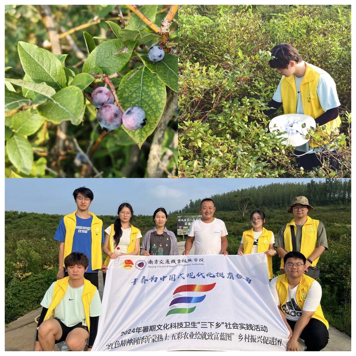 �Ͻ��W(xu��)�ӣ����M(j��n)�{(l��n)ݮ�@