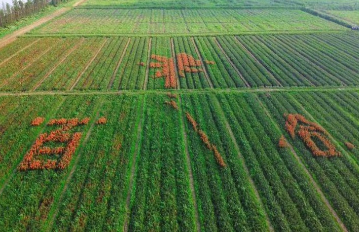 �����֮�L���P�ٺ�֮��