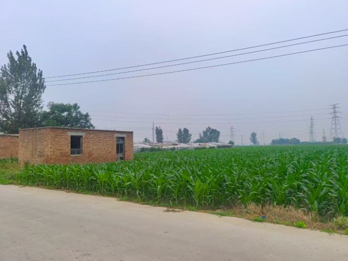 �Ƽ����S���`�F��ʢ�ʹ��_չ����Ѳ�z�{�У��Ƽ��������N�P��