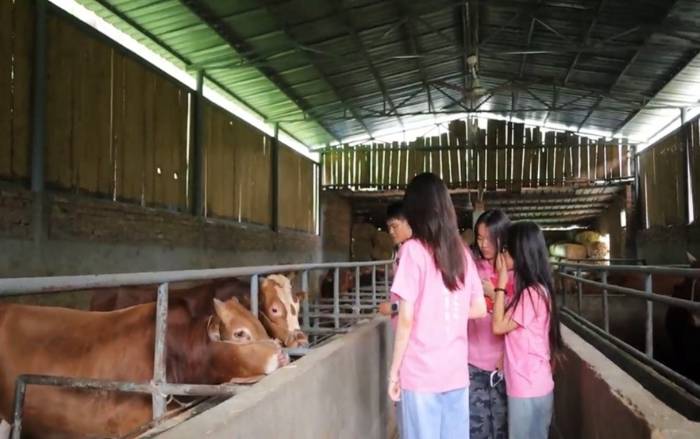 ꃹ��� ��朄Ӱ��������Q���������`�F̽����ɽ����Sţ�Bֳ�ǻ�