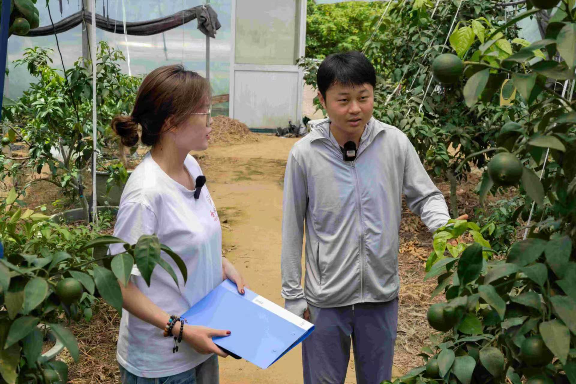 �Ϸʴ�W��ұ�����࡯�L���������񡯮��r�����`�F��x���l�����d�����ഺ�ǻ�����ұ��ɽ���ɫ�a�I�lչ