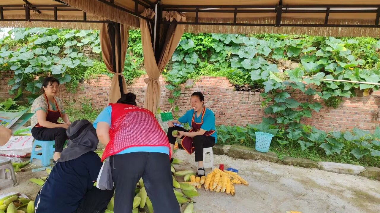 �A �y�g�������ؑc������W(xu��)��(j��ng)���c����W(xu��)Ժ־Ը����(w��)����뽨�´��{(di��o)������������r